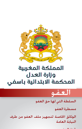 صورة الدليل
